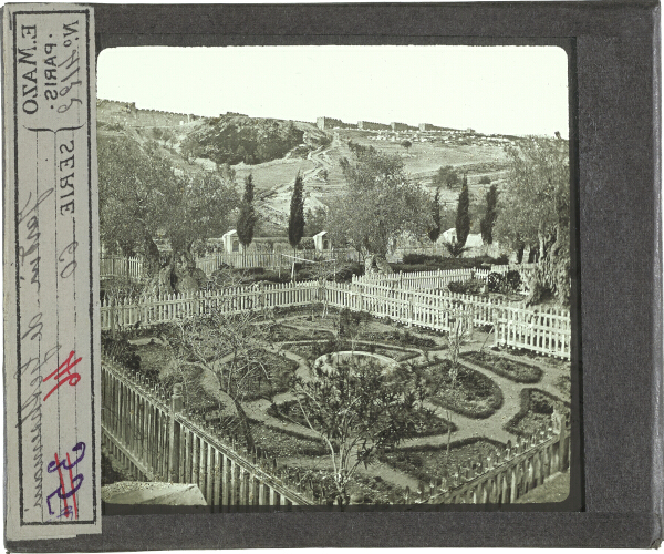 Jardin de Gethsémani – secondary view of slide