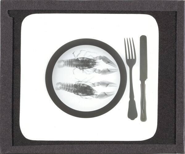 X-Ray photograph of lobsters on plate with knife and fork