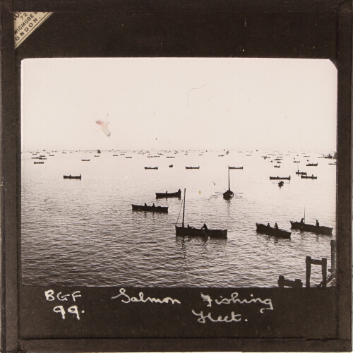 Salmon Fishing Fleet