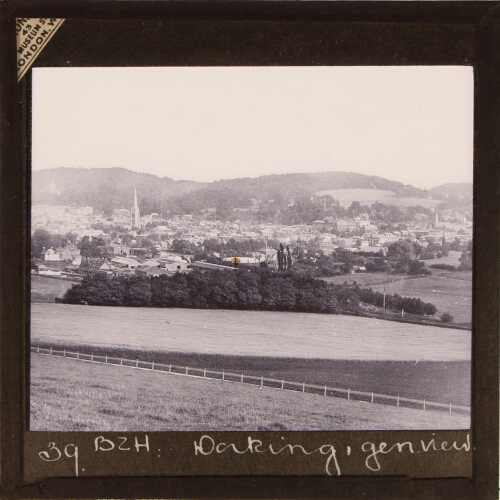 Dorking, general view