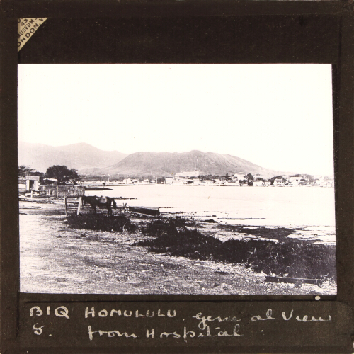 Honolulu. General View from Hospital