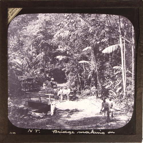 Bridge making on forest road