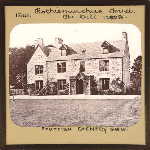 Rothiemurchus Forest, The Dell