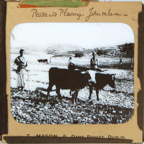 Peasants Plowing, Jerusalem