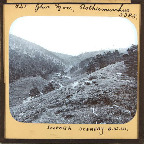 Glen More, Rothiemurchus