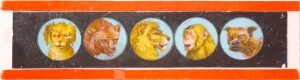 [Five animal heads]