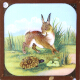 The Hare and the Tortoise – alternative version ‘b’