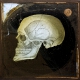 Skull (side view)