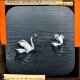 Swans Swimming, No. 1