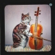 Sweet Jessamy Rasper, the Musician of Cats – alternative version ‘a’