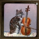 Sweet Jessamy Rasper, the Musician of Cats