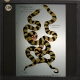 A case of mimicry where a non-venomous species of snake resembles a venomous one