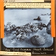 Plate VIII, No. 1. 'Dog' Reef, Saddle-back Island, Port Denison – alternative version ‘b’