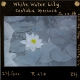 White Water Lily. Castalia speciosa