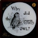 Why did the owl 'owl?