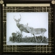 [Wildlife display: family of wild red deer of Exmoor]