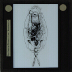 [Drawing of unidentified species of rotifera]