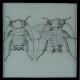 [Drawing of two unidentified beetles]