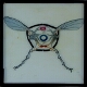 [Drawing of cross-section of unidentified insect]