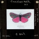 Cinnabar Moth x1