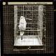 Cockatoo in cage