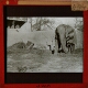 [Elephant by wall of building]