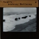 Madras: Washing Buffaloes