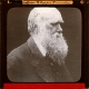 Professor Charles Darwin