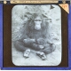 The Soko or giant chimpanzee
