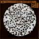 Foraminifera -- March Silt