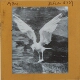 [Unidentified seabird with wings outstretched]