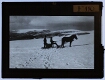 [Two men with a horse in the Hochgebirge]