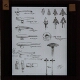 [Drawings of axes, arrows and other implements]