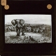 [Herd of African elephants hunted by two men]