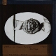 Seal of John Bothe, Barton, 1402