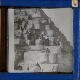 [Group of people standing on Egyptian pyramid]