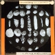 Foraminifera from Porto Seguro x 21 – Rear view of slide