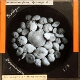 Foraminifera x 18