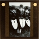 [Group of African people in ceremonial costume]