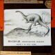 Brontosaurus, restored