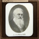slide image -- A.R. Wallace