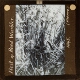 Nest of Reed Warbler (Monro), 1895