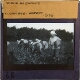 Sugar Beet Harvest 1935