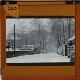 [Lane with buildings and trees in snow]