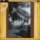 [Garden of house with palm trees and people resting]