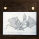 A Jenny Haniver dragon