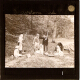 Trespassers Caught