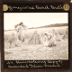 Harvesting – alternative version ‘b’