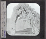 Chutes du Niagara. Effet de neige – Image inverted to correct view